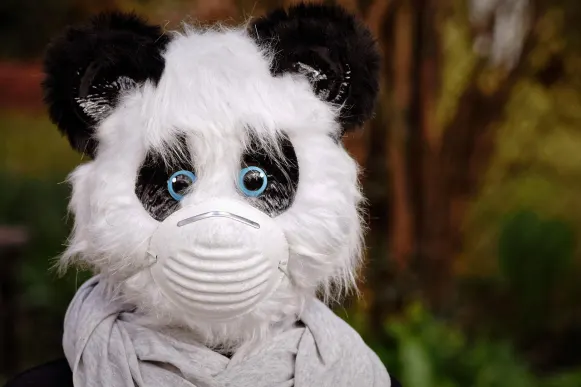 Kasino Cyber Bingo Sokongan